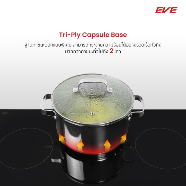 ฐานภาชนะ Tri-ply capsule base